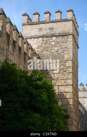 Detail der Burgmauer, Sevilla, Spanien Stockfoto