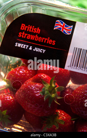 ERDBEEREN BRITISCHER Plastikbehälter frische " süße und saftige " britische Erdbeeren auf dem Display in durchsichtigem Plastikbehälter. Union Jack Flag Stockfoto