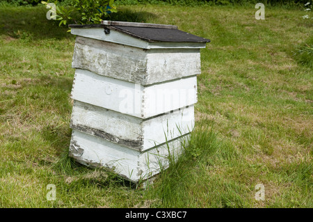 Hölzernen Bienenstock - traditionelle Form - weiß lackiert und verwitterte Holz. UK Stockfoto