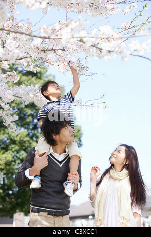 Familie von drei unter Cherry Blossom Tree Stockfoto