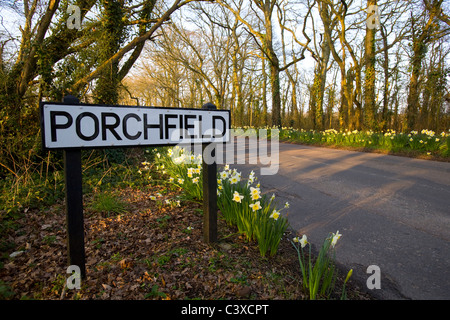 Neue Straße, Porchfield, Narzissen, Natur, Landstraßen, Isle Of Wight, England, UK, Stockfoto