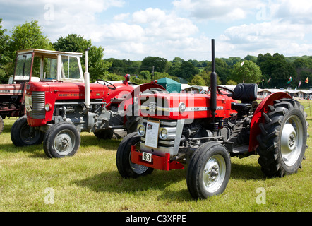 Massey Feguson Traktoren - Modell 135 aus den 60er Jahren und Modell 65 aus den 1970er Jahren auf dem Display an eine Dampf- und Oldtimer Rallye. Stockfoto