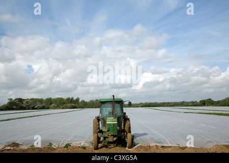 Grüner Traktor geparkt am Ende eines Feldes von Schröpfen für Ernte Alderton Suffolk England Stockfoto