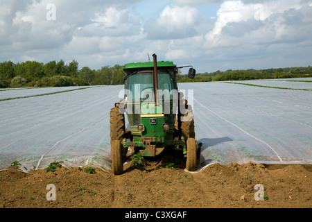 Grüner Traktor geparkt am Ende eines Feldes von Schröpfen für Ernte Alderton Suffolk England Stockfoto