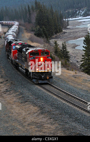 Ein Canadian National Güterzug. Stockfoto