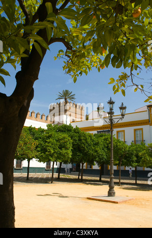 Im Inneren Burghof mit Blick auf einen Wachturm, Sevilla, Spanien. Stockfoto