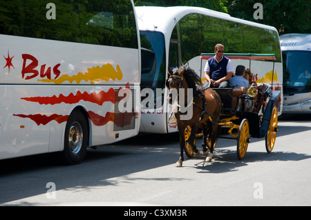 Ein Pferd und Wagen, die die Touristen in Sevilla.  Fahren vorbei an einer Reihe von geparkten Touristenbusse. Stockfoto