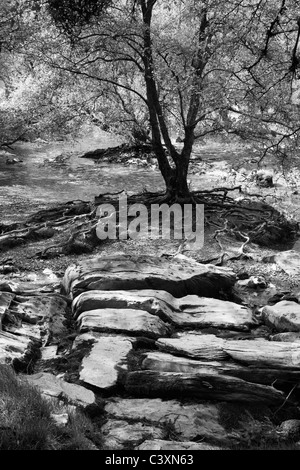 Flussbett in der Elan-Tal, Mid Wales Stockfoto