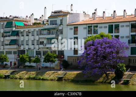 Unterkünfte entlang der Ufer der Fluss Guadalquivir. Sevilla, Spanien Stockfoto