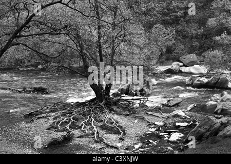 Flussbett in der Elan-Tal, Mid Wales Stockfoto