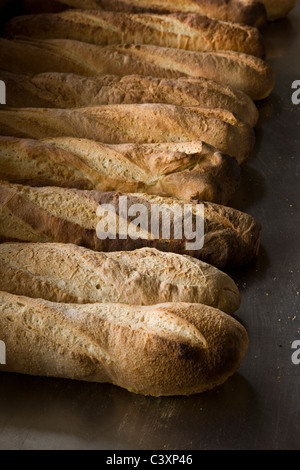 Frisch gebackenes Brot zum Verkauf in einer kommerziellen Bäckerei Stockfoto