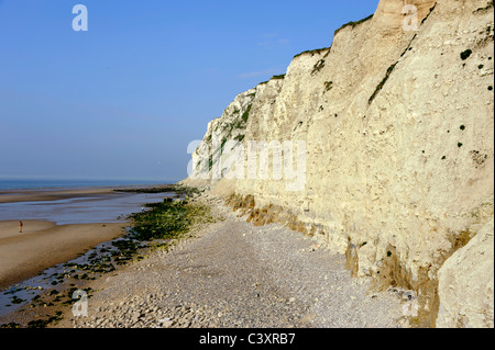 Cap Blanc-Nez, Hamiot, Pas-De-Calais, Nord Pas De Calais, Frankreich Stockfoto