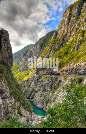 Fluss Tara mit seiner schönen grünen Wasser laufen, Trog Grüne Tara-Schlucht unter einer Brücke. Eines der tiefsten Canyons der Welt. Stockfoto