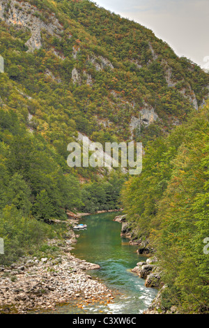 Fluss Tara mit seiner schönen grünen Wasser laufen, Trog Grüne Tara-Schlucht unter einer Brücke. Eines der tiefsten Canyons der Welt. Stockfoto