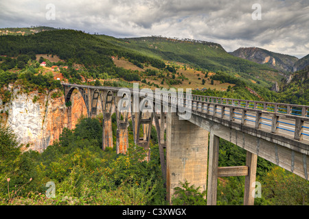 Durdevica gewölbt Tara Brücke über Grüne Tara-Schlucht. Einer der tiefsten Schluchten der Welt und UNESCO World Heritage, Montenegro. Stockfoto