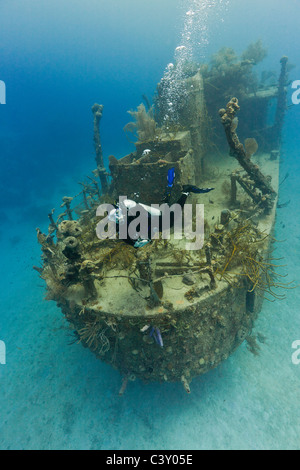 Scuba Diver inspizieren das Prinz-Albert-Wrack in Roatan, Honduras. Stockfoto