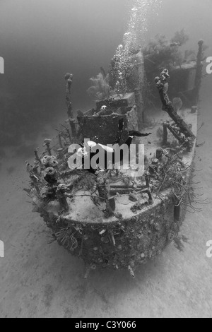 Scuba Diver inspizieren das Prinz-Albert-Wrack in Roatan, Honduras. Stockfoto