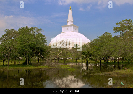 Ruvanvelisaya Dagoba spiegelt sich im See Anuradhapura Sri Lanka Stockfoto