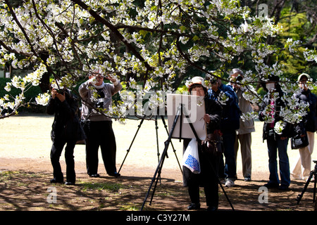 Menschen malen und bewundern die Kirschblüte in Tokyo Stockfoto