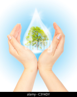 Tropfen Wasser mit Baum im Inneren und Hände. Das Symbol des grünen Planeten zu retten. Stockfoto