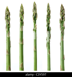 Spargel Stockfoto