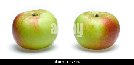Bramley-Äpfel Stockfoto