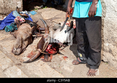 Metzgerei in der Straße, Harar, Äthiopien, Afrika Stockfoto