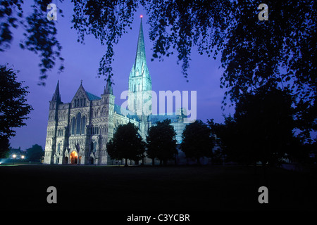 Kathedrale von Salisbury in der Nacht. Salisbury, Großbritannien. Stockfoto