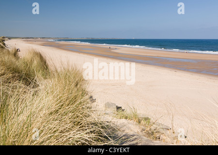 Druridge Bay auf der Northumberland Küste ist eine Country Park und auch durch Pläne für Tagebau bedroht Stockfoto