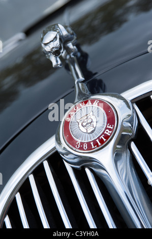 Jaguar Mk II 3.8 Liter Kapuze / Mütze Grill, Ornament und Abzeichen Detail Stockfoto