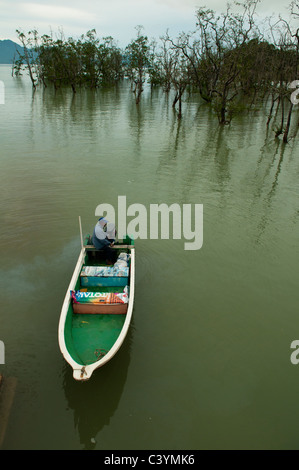Boot in den Mangroven im Bako Nationalpark in Sarawak, Borneo, Malaysia Stockfoto