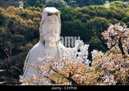 Die beeindruckende und hoch aufragenden Statue des Bodhisattva Avalokitesvara in Ryozen Kannon in Kyoto, Japan. Stockfoto