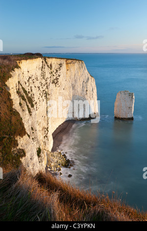 Der Pfarrer Scheune Rock Stapel in der Nähe von Handfast Punkt, Ballard Down, Dorset, England. Winter (Februar) 2011. Stockfoto