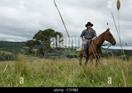 Mann auf Pferd in Landschaft Stockfoto