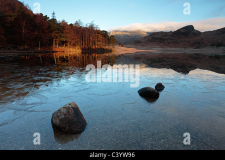 Spätherbst Licht auf den eisigen Rändern eine ruhige Blea Tarn in den Lake District in England Stockfoto