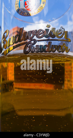 Budweiser Bier vom Fass in ein Glas mit einem Logo. Stockfoto