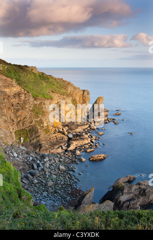 Felsige Bucht an der Dodman in der Nähe von Boswinger, Süd Cornwall, England. Frühjahr (Mai) 2011. Stockfoto