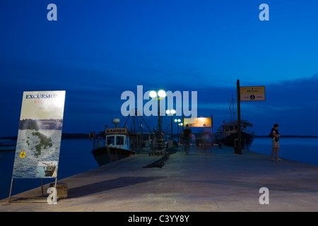 Hafen von Fazana mit Fischer- und Ausflugsboote zu den Brijuni-Inseln, Twilight, Istrien, Kroatien Stockfoto