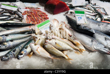 Frische Makrele, Dorade und Bonito zum Verkauf in La Boqueria-Markthalle, La Rambla (Las Ramblas), Barcelona, Katalonien, Spanien Stockfoto