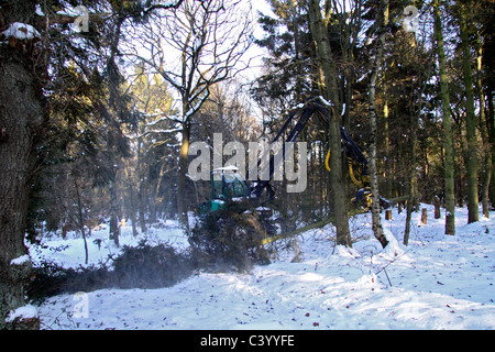 Holzernte Betrieb im Winter Stockfoto