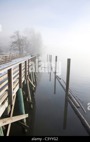 Promenade entlang des Fraser River in Port Coquitlam im Nebel Stockfoto