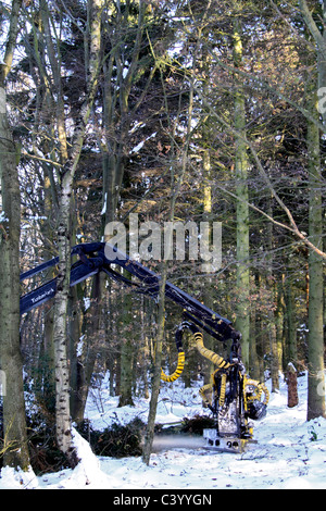 Holzernte Betrieb im Winter Stockfoto