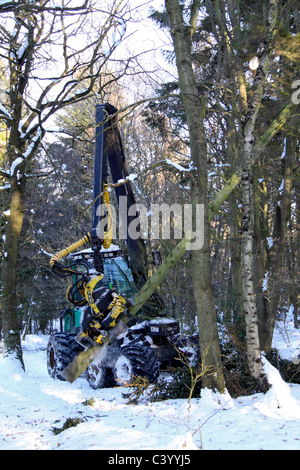 Holzernte Betrieb im Winter Stockfoto