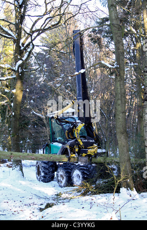 Holzernte Betrieb im Winter Stockfoto