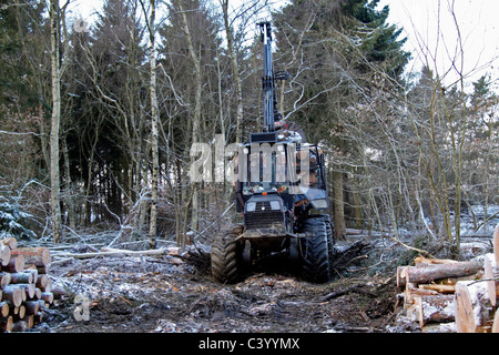 Holzernte Betrieb im Winter Stockfoto