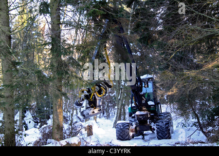 Holzernte Betrieb im Winter Stockfoto