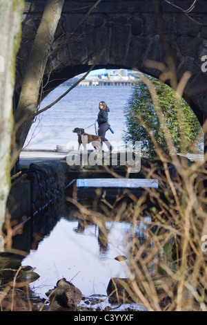 Frau mit zwei Hunden Spaziergänge entlang der Ufermauer, wie durch Tunnel zu sehen. Stanley Park, Vancouver BC, Kanada Stockfoto