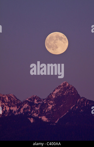 Vollmond steigt über Mount Blanshard, von Port Coquitlam, BC, Kanada. Stockfoto