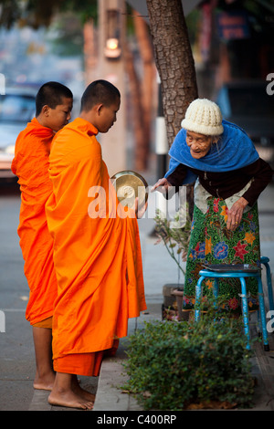 Alte Dame anbietennahrung für zwei junge Mönche religiöse Mendicancy am frühen Morgen, Lampang, Thaiand Stockfoto