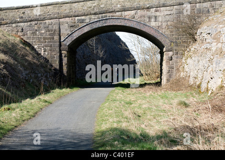 Blick entlang der Tissington Trail zwischen Petersilie Heu und Tissington Derbyshire England Stockfoto